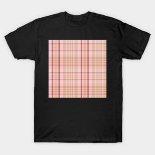 Spring Aesthetic Sorcha 1 Hand Drawn Textured Plaid Pattern T-Shirt